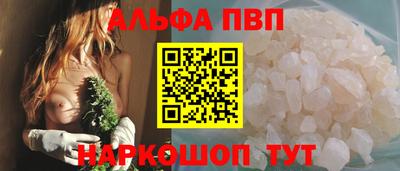 эйфоретик Кингисепп